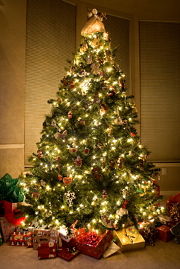 exotic-christmas-tree-nyc